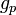 g_p